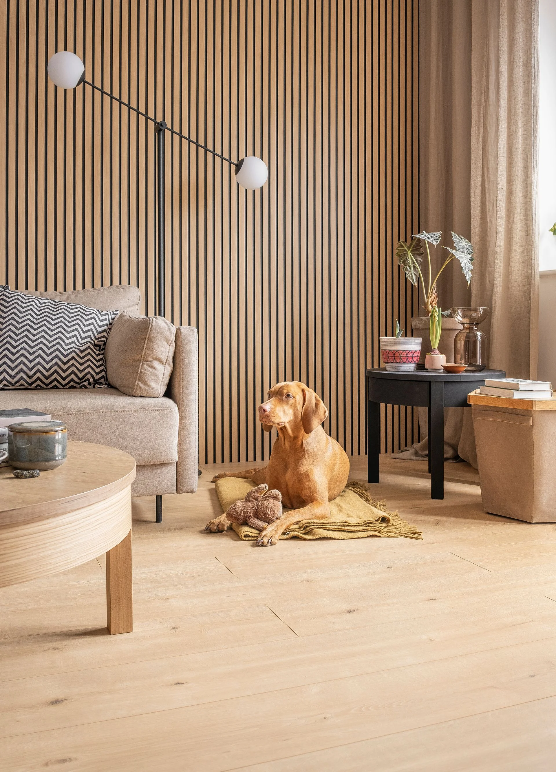 Przytulny salon z drewnianą lamelową ścianą i psem 
